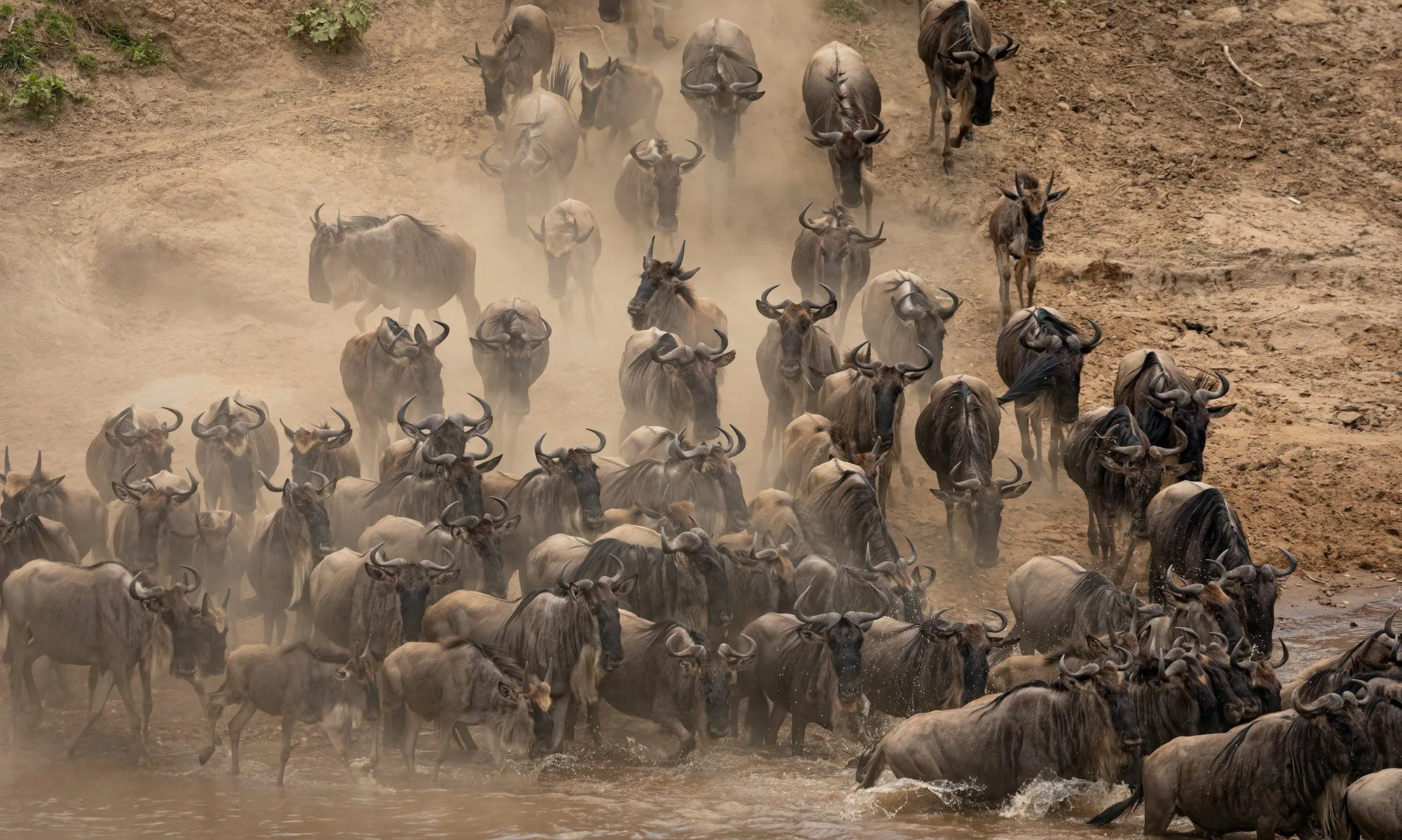 12-Day Private Wilderness Journey in Tanzania