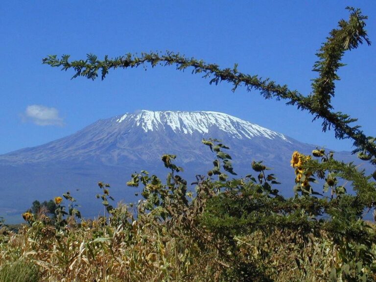 Trekking Mount Kilimanjaro