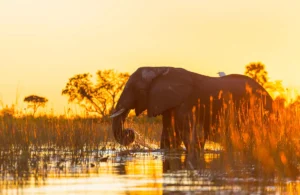Halal Travel in Tanzania