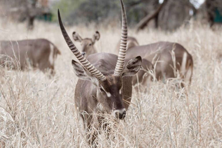 Tanzania Solo Travel